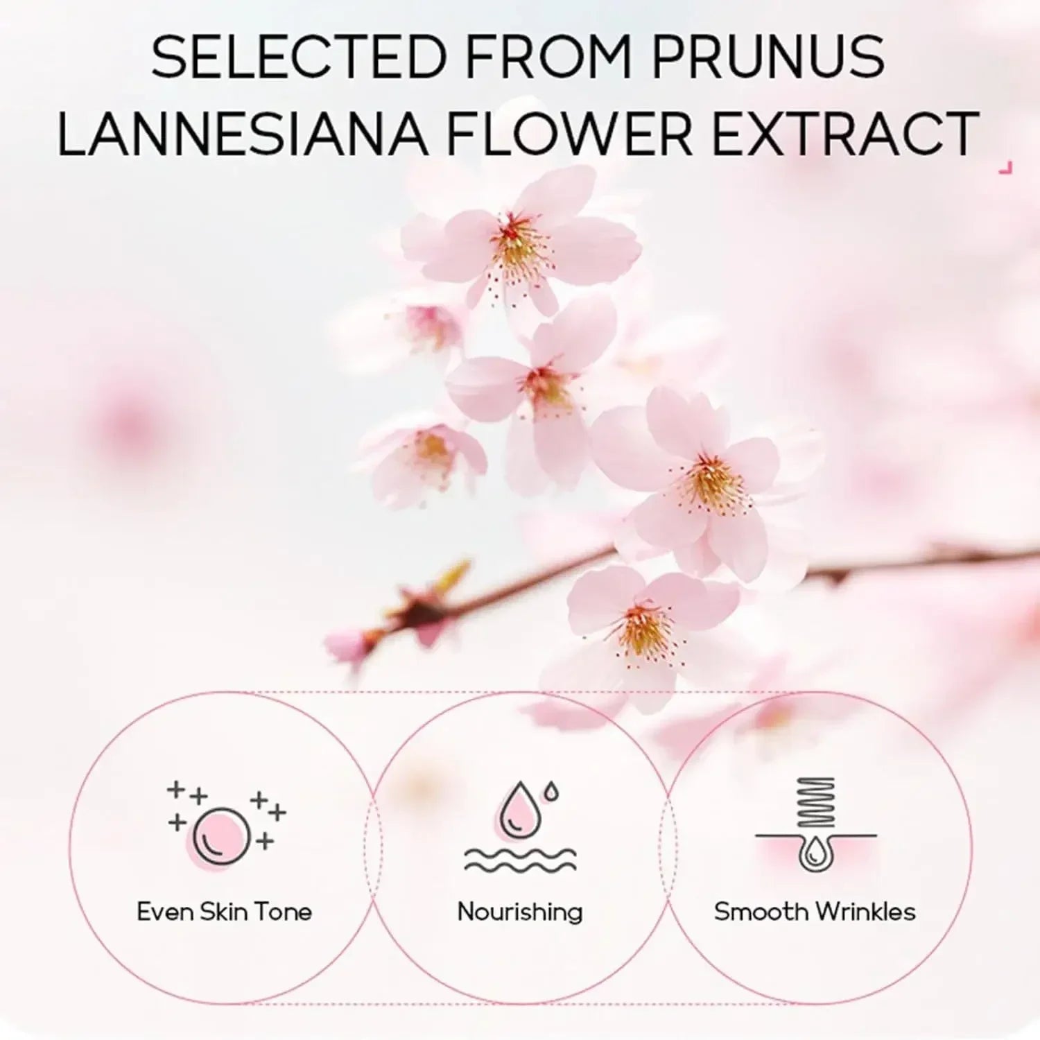 Sakura Hautpflege Set für Frauen